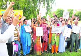 Kashmiri Pandits protest against the proposed autonomy for Jammu and Kashmir at a park in Sector 20, Panchkula