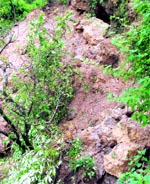 The spot where a landslide occurred at Hussainganj in Mussoorie on Saturday night.