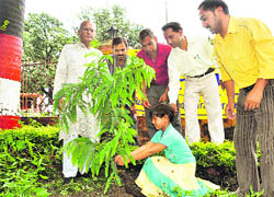Members of the Uttarakhand Andolankari Sanyukt Manch plant saplings to celebrate Raksha Bandhan in Dehradun on Tuesday.