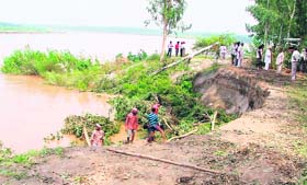 Axed trees being positioned on the dhussi bundh at Khera Bet