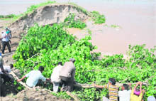 Effort on to plug the 70-ft trench in the dhussi bundh at the village in Ludhiana district. 