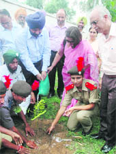 Patiala Municipal Commissioner MS Narang at a plantation drive at Government Mohindra College in Patiala on Wednesday.