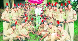 NCC cadets plant saplings in Haridwar on Thursday.