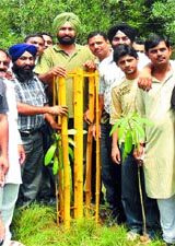 MLA Jagbir Singh Brar and representatives of NGOs launch a plantation drive in Jalandhar Cantonment.