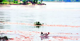 A man floats on a tyre tube near Madepura villag