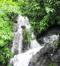 Gushing water in one of the recharged springs 