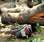 A bike crushed under the huge tree which fell on Friday night due to the ongoing construction work and rain at Nai Wala (Karol Bagh) in New Delhi.