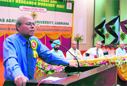 Deputy director-general (crop science) of the ICAR Dr Swapan K Dutta addresses the All-India Wheat and Barley Research Workers' Meet at PAU in Ludhiana on Saturday