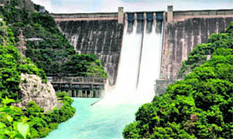 Release of water after the floodgates of the Bhakra Dam at Nangal were recently opened