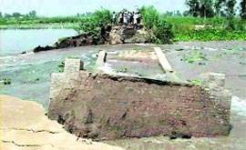 Remains of the pipe culvert bridge over the Buddha creek in Ferozepur district, which was washed away on Sunday.