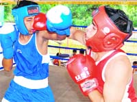 Rahul receives a powerful punch from Barinder during their final bout in the 57-kg category of the Pandit Mohan Lal Memorial Boxing Championship at PML SD Public School, Sector 32, Chandigarh,