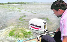 A view of the Sukhna Lake before de-weeding began in July this year;