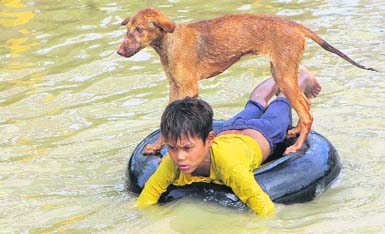 A boy along with a dog on an inner tube wades through a flooded road in Bago, about 90 km of Yangon, Myanmar,