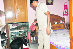 A sniffer dog of the police at a residence in Dehradun on Thursday. 