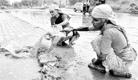 Labourers drain out rainwater which accumulated in Sector 42, Chandigarh, on Friday.
