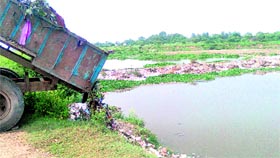 Waste being dumped by the sanitation department in the choe at Bishanpura village in Zirakpur.