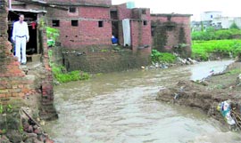 The rivulet in which a child got drowned.