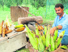 As normal life was affected due to a bandh call by separatists in Srinagar on Saturday, a maize vendor awaits customers on the banks of the Dal lake. 