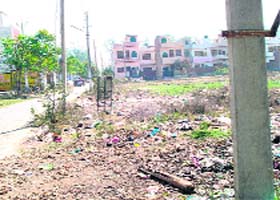 Scattered garbage and polythene bags eyesore for residents of Sector 19, Kaithal