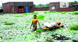 A youth wades through knee-deep water with his goods in Karnals Balmiki Colony