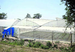 A poly house in Kangra district