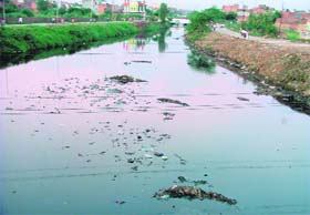 Garbage, effluents clog Budha Nullah in Ludhiana