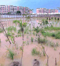 Waterlogging near Commonwealth Village makes the area prone to mosquito breeding and spread of the dengue in New Delhi on Wednesday. 