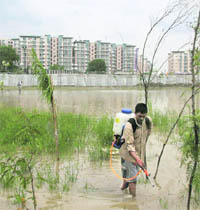 A civic worker sprays pesticide to eliminate mosquito larvae near the Commonwealth Games Village in New Delhi on Wednesday.