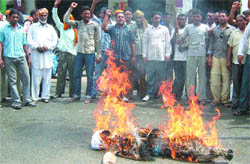 Residents of Mehatpur burn an effigy of Congress leader CD Singh Kamboj 