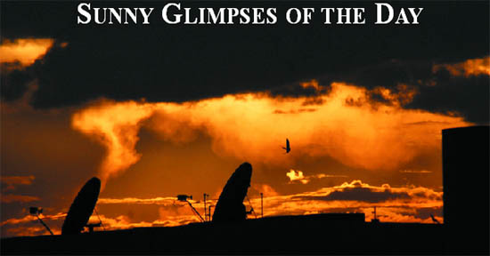 Tribune lensman Malkiat Singh captures a view of the sunset in Jalandhar 