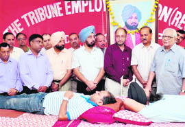 The Tribune employees donating blood at the organisations Chandigarh office on Thursday. Tribune Trustee RP Bambah (extreme right), Editor-in-Chief Raj Chengappa (2nd R), Punjabi Tribune Editor Varinder Walia (4th R) and Tribune Employees Union President Balbir Singh Jandu were among those present.