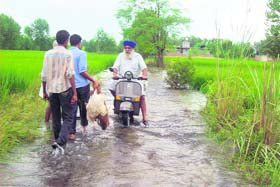 A scooterist drives through an inundated area of Lodhipur village in Anandpur Sahib