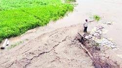 A segment of the dhussi bundh that was washed away at Kasabad village. The water released by the BBMB has further added to the worries of farmers.