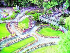 Landscaping at St. Stephens School in Chandigarh Photo by the writer