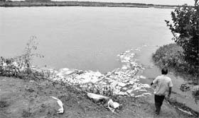 A view of the dhussi bundh, a portion of which has been washed away, at Kasabad village in Ludhiana district