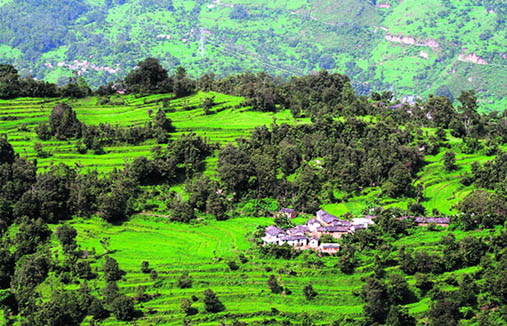 A view of Askot village
