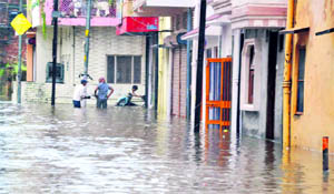 A view of the Kankhal locality