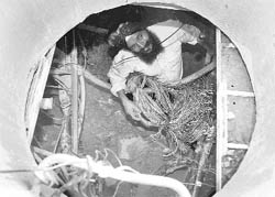 A BSNL employee repairs a fault in the underground cable near the Phase X exchange.