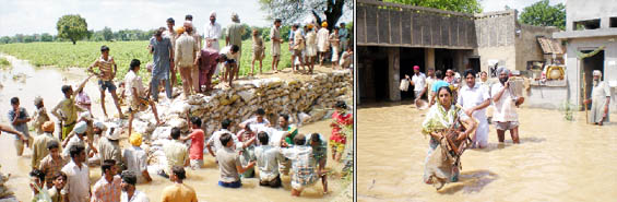 Villagers try to plug the breach in Pakka minor of Kotla branch canal on Monday. The breach occured on Sunday; villagers taking their household goods to a safer place as water entered their houses at village Pakka Kalan in Bathinda on Monday.
