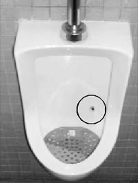 A housefly etched on the porcelain in a urinal at the Amsterdam airport