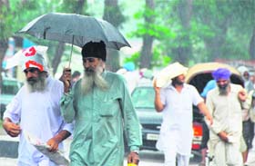 Farmers return from the Kisan Mela at PAU