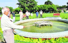 A resident complains about the foul smell emanating from the stagnant water of the fountain in the Gulmohar park at Sector 27, Chandigarh
