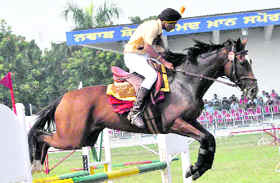 A rider in action during a horse riding competition at Fatehgarh Sahib.