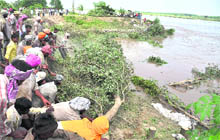Villagers throw branches of a tree for strengthening the Dhussi bundh along the Sutlej at Mattewara village in Ludhiana on Friday. 