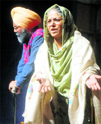Artistes perform at Randhawa auditorium in Chandigarh on Saturday