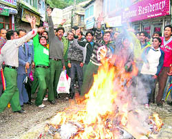 Protesters burn an effigy of Mumbai businessman Sanjay Narang in Mussoorie on Saturday