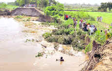 Labourers try to plug the damaged stretch on the Dhussi bundh at Garhi Fazal village.