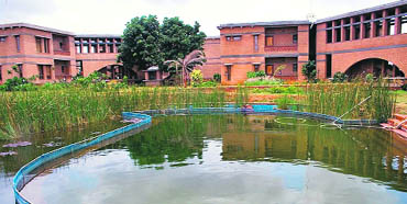 Our Native Village, a resort built on the outskirts of Bangalore, has a pool in the foreground that uses plants to purify its water