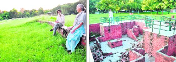 An elderly couple surrounded by wild growth; and debris of maze that was razed two years ago in the Bamboo Park, Sector 23, Chandigarh