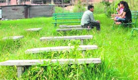 Students, sitting amidst wild growth, share meals opposite the Student Centre in Panjab University